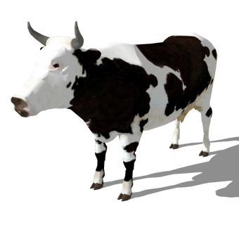 精品动物模型 奶牛